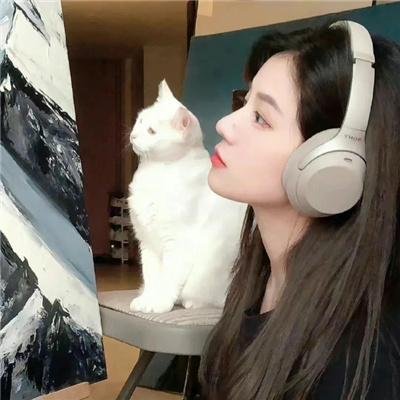 远方的狗吠声
