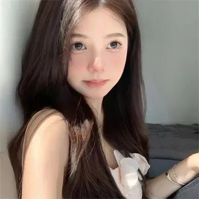 救援狗